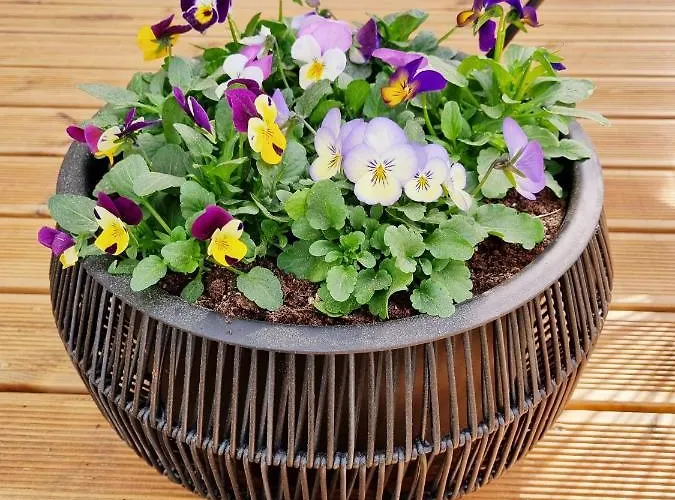 Supeluse 7-1 Guest By Annalie Διαμέρισμα Παρνού